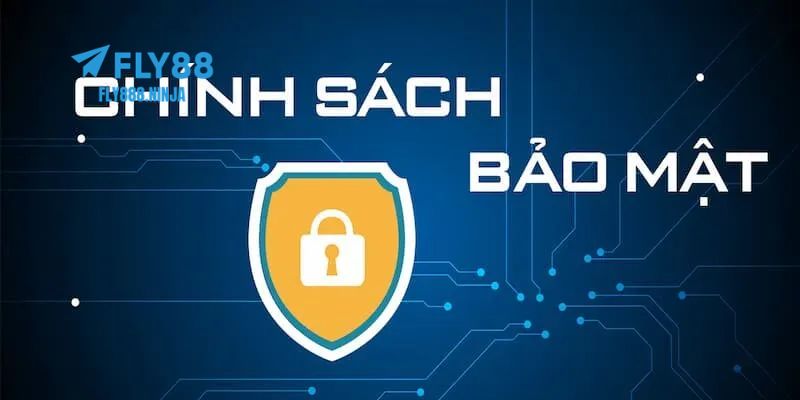Quyền lợi, trách nhiệm của người chơi và nhà cái trong chính sách bảo mật