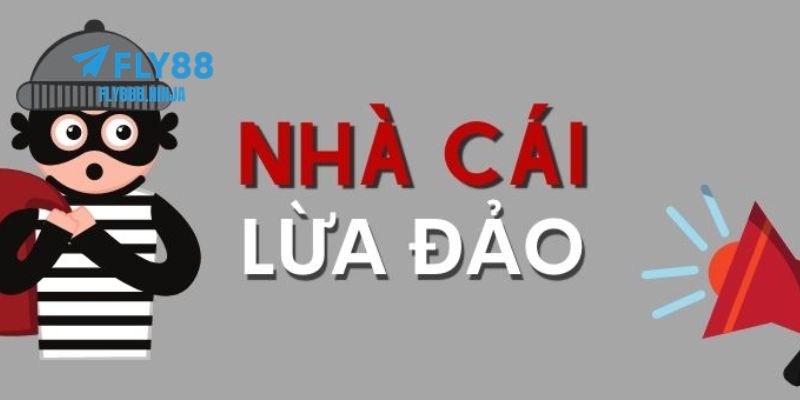 Những lý do khiến tin đồn FLY88 lừa đảo xuất hiện